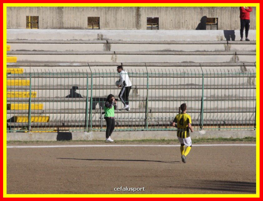 190310 Cephal_Torrenov 127_tn.jpg